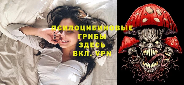 прущие крисы Белоозёрский