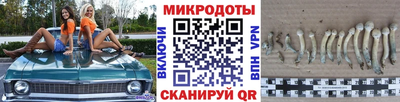 Галлюциногенные грибы ЛСД  Верхний Уфалей 